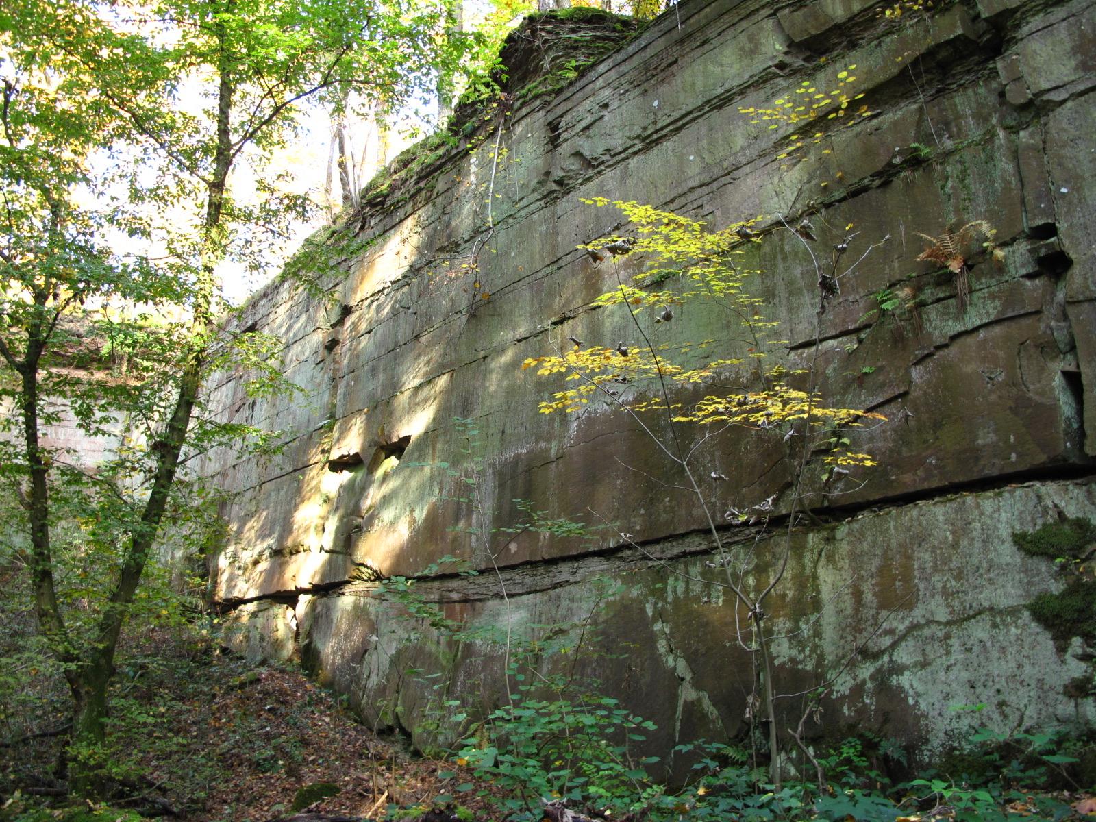 Felswand aus Schilfsandstein im Naturschutzgebiet beim Jägerhaus in Heilbronn, Aufnahme vom November 2011